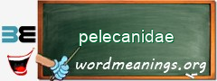 WordMeaning blackboard for pelecanidae
